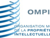 ompi.png