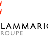 logo_flammarion.gif