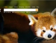 bingpanda.jpg