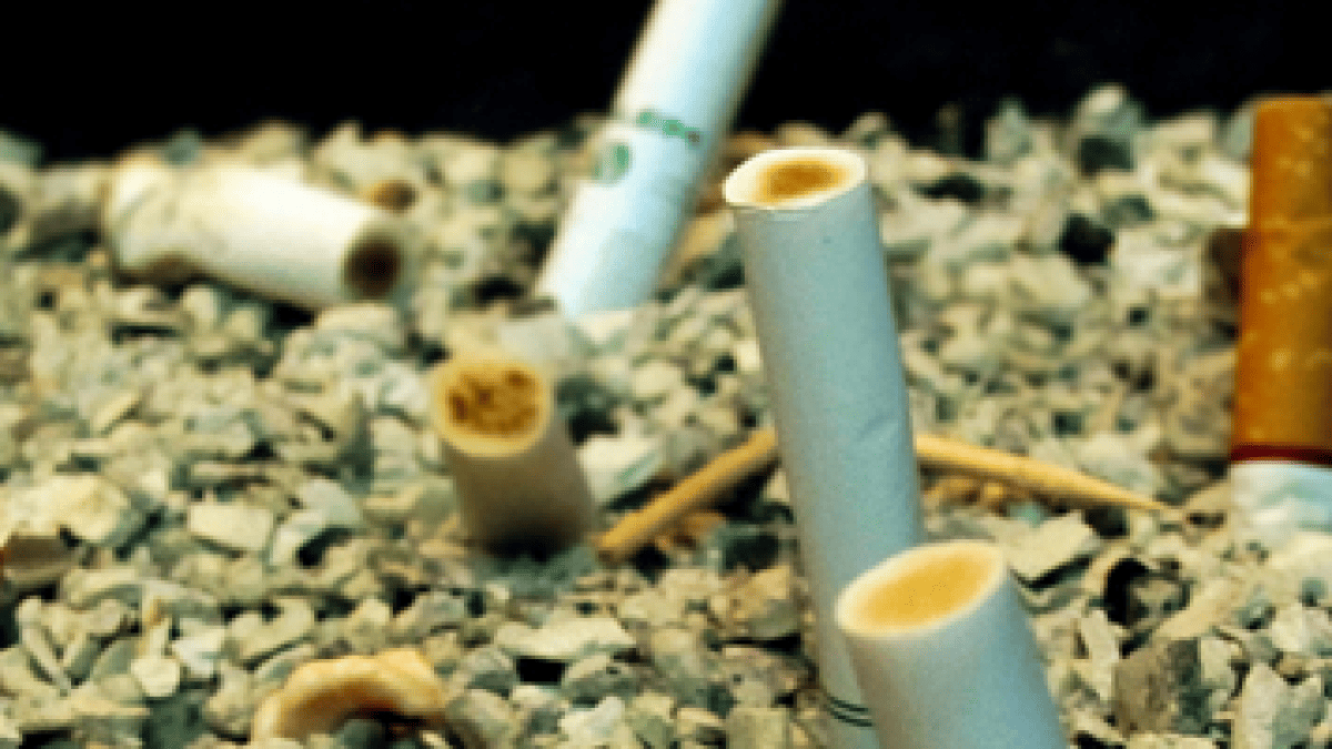 tabac-675.png tabac-675.png