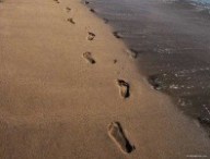 traces.jpg