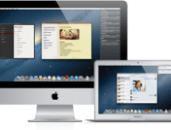 overview_mountainlion.png