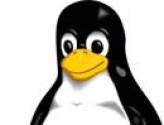 tuxlinux.jpg