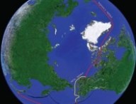 submarinecable.jpg