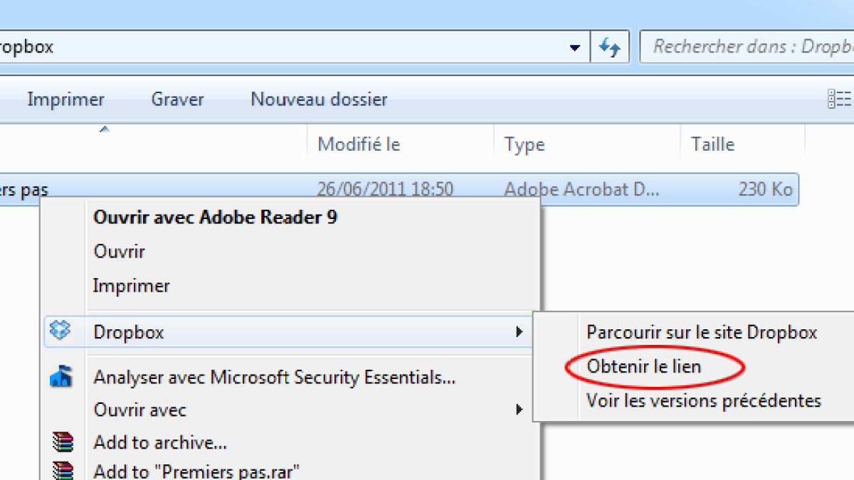 dropbox-obtenir-le-lien.png dropbox-obtenir-le-lien.png