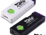 Z8021.jpg