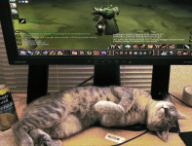 dependance-jeux-video.png dependance-jeux-video.png