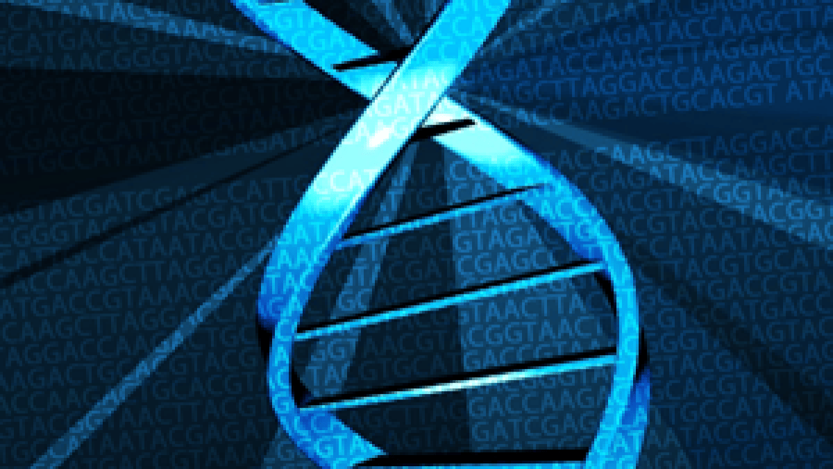 adn-ebook.png adn-ebook.png