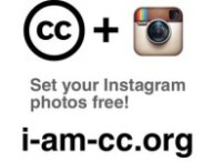 iamcc.jpg