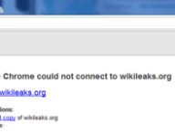 woopswikileaks.png