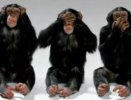 Evil-Monkeys.jpg