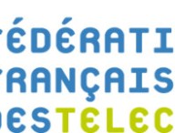 fft_logo_2011.jpg.jpg
