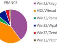 france-msir13.png