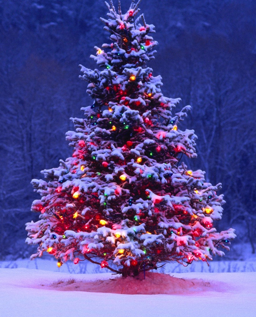 arbre-noel