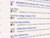 gayporn-bittorrent.png
