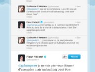 pellerin-twitter-censure.jpg