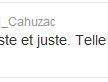 cahuzactwitter.jpg