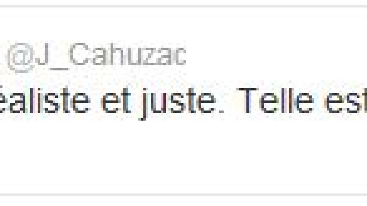 cahuzactwitter.jpg