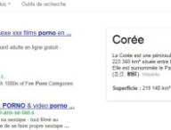 capturegooglecoree.jpg