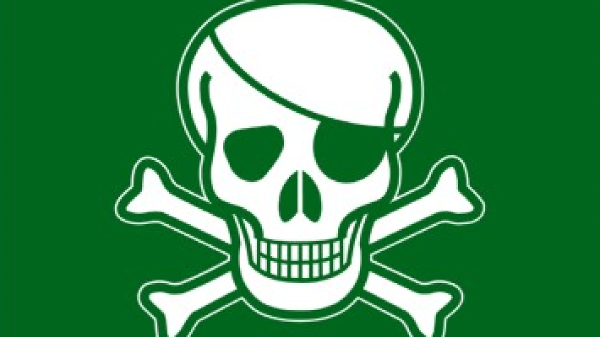 pirate-vert.png pirate-vert.png