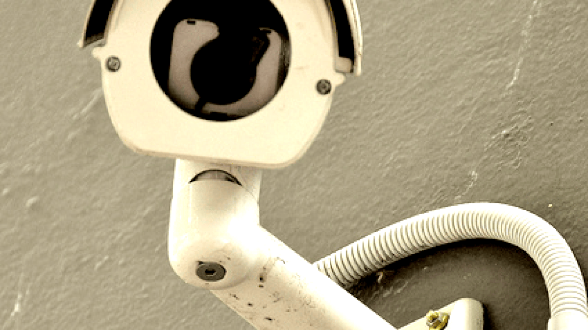 surveillance.png surveillance.png