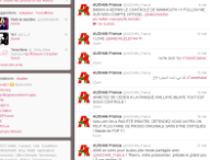 auchan-twitter.png