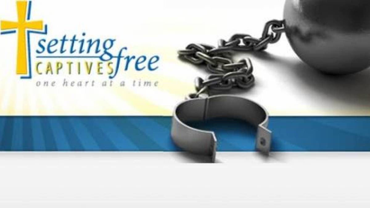 settingcaptivesfree.jpg settingcaptivesfree.jpg