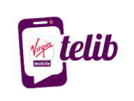 teliblogo.png