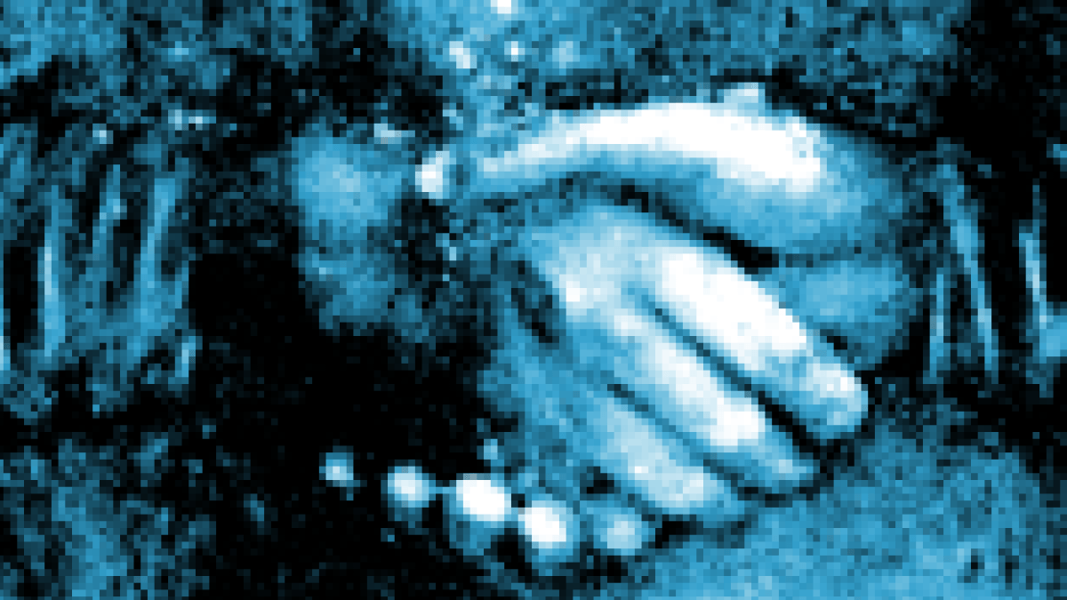 accord675.png accord675.png