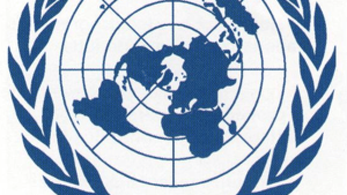 onu-logo.png onu-logo.png