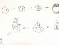 educsexe-chine.png
