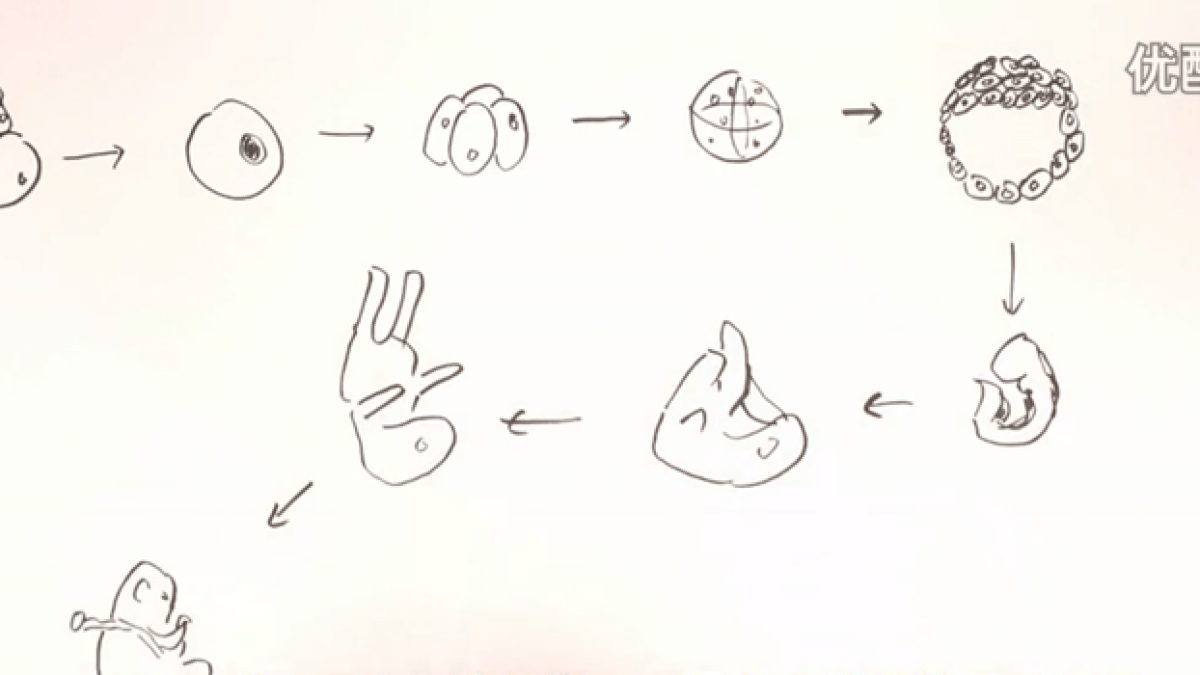 educsexe-chine.png educsexe-chine.png