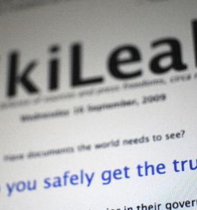 wikileaksscreen.jpg