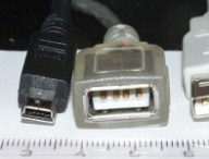 800px-usb_connectors.jpg