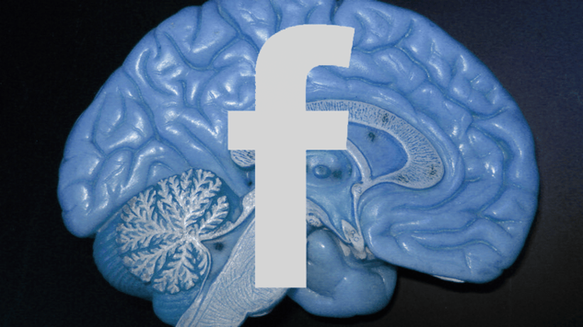 facebookia.png facebookia.png