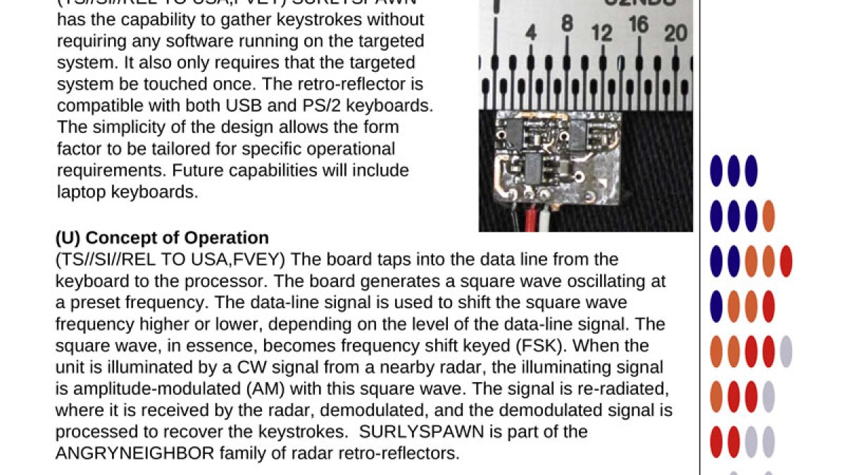 nsa-ant-surlyspawn.jpg nsa-ant-surlyspawn.jpg