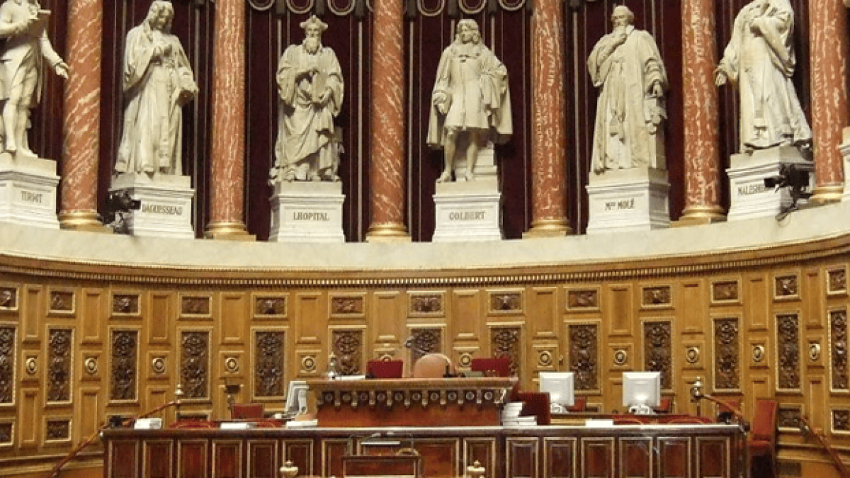 senat-675.png