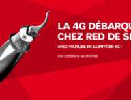 sfrred4g.png