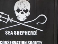 armada_rouen_sea_shepherd.jpg