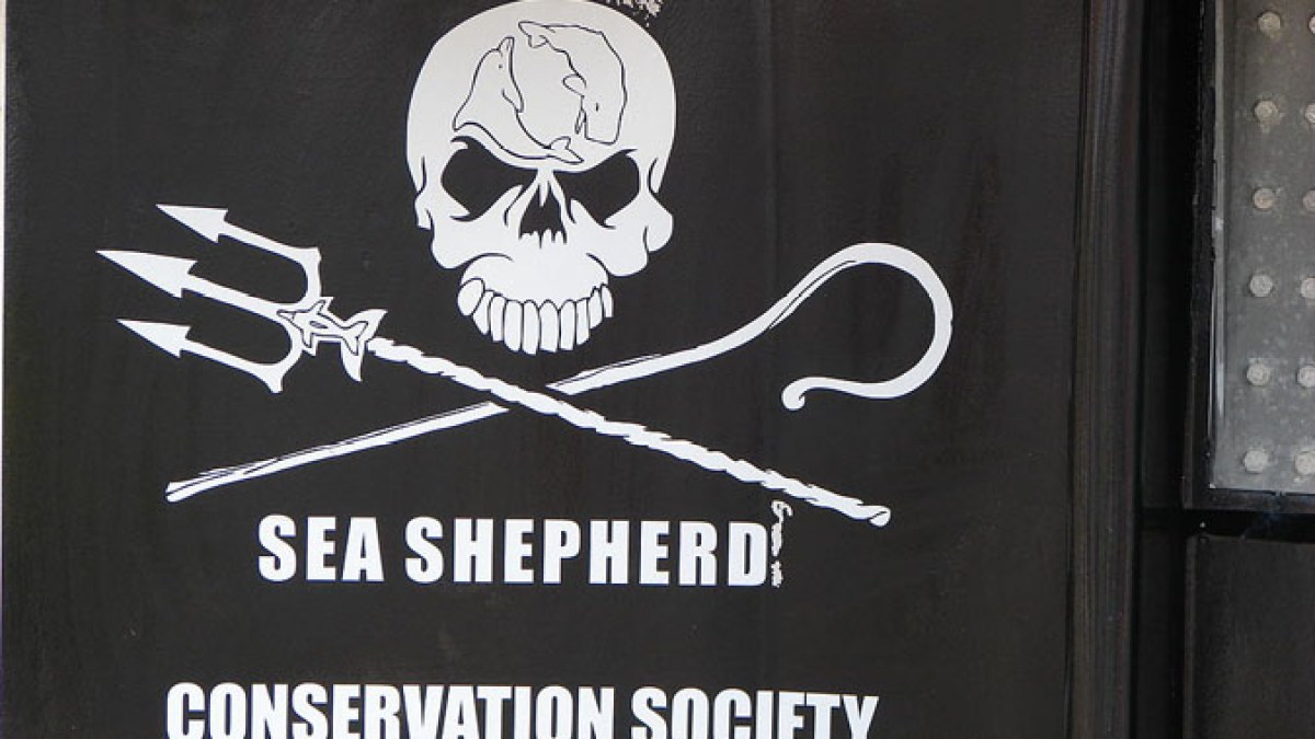armada_rouen_sea_shepherd.jpg armada_rouen_sea_shepherd.jpg