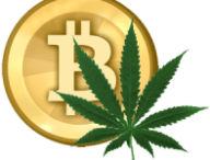 bitcoins-drogue.png