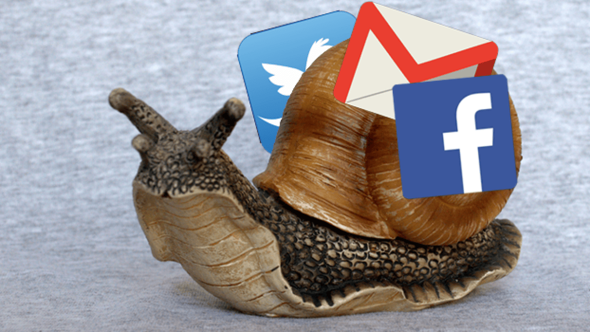 escargot.png escargot.png