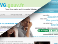 ivg-seo.png