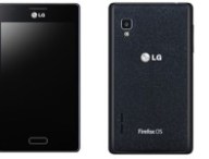 lg-fireweb.jpg