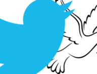 twitter-paix.png