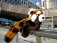 firefoxpeluche.jpg