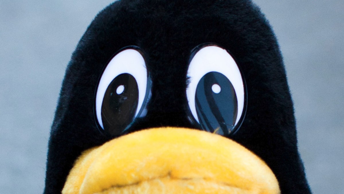 linux-faille.jpg linux-faille.jpg