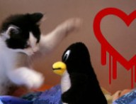 heartbleed-libressl.jpg