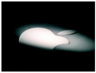 applelogosombre.jpg
