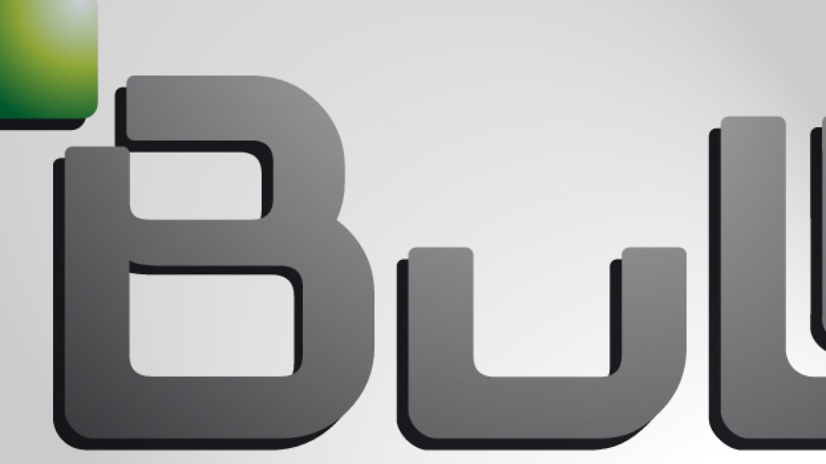 bull-opa.jpg bull-opa.jpg